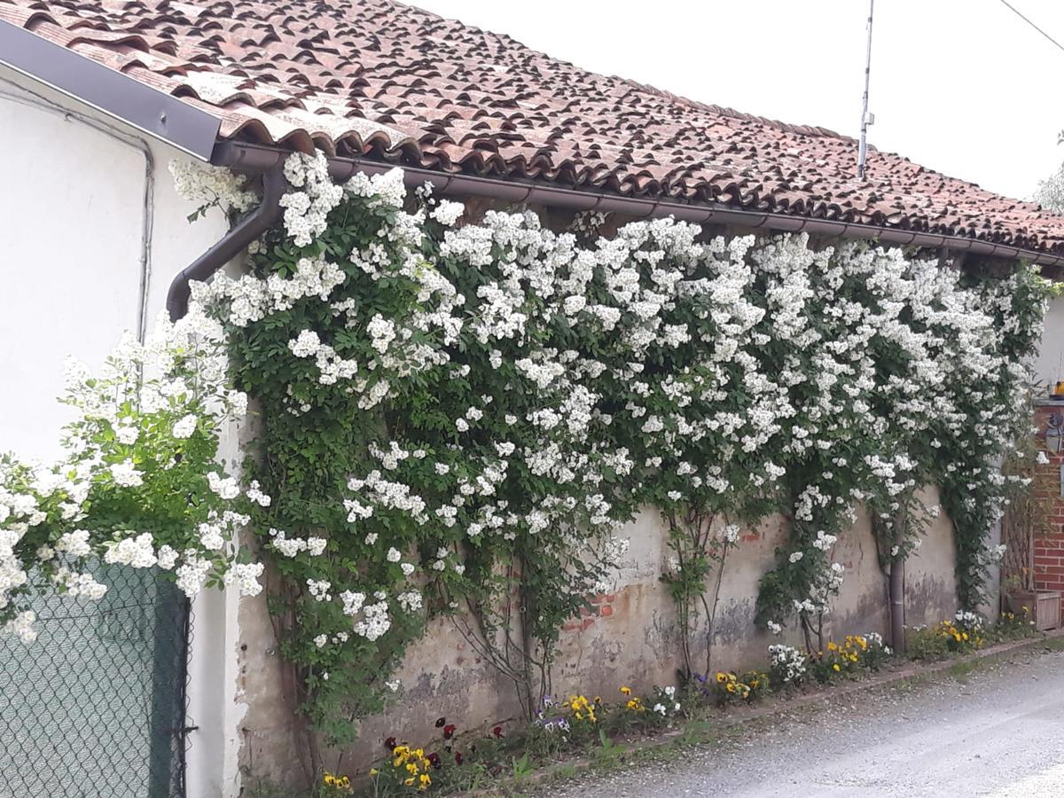Il Mulino Di Geminella Apartman Narzole Kültér fotó